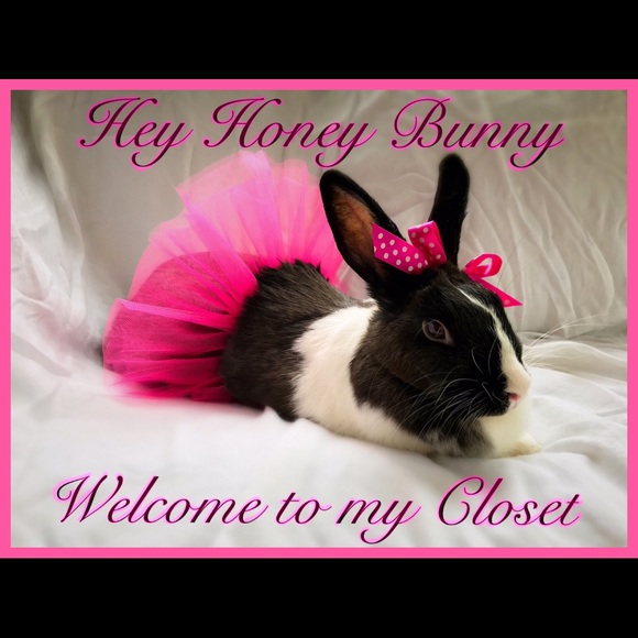 ๐ Meet your Posher, Carie & the Bunny Ella ๐ฐ๐ - Picture 1 of 4